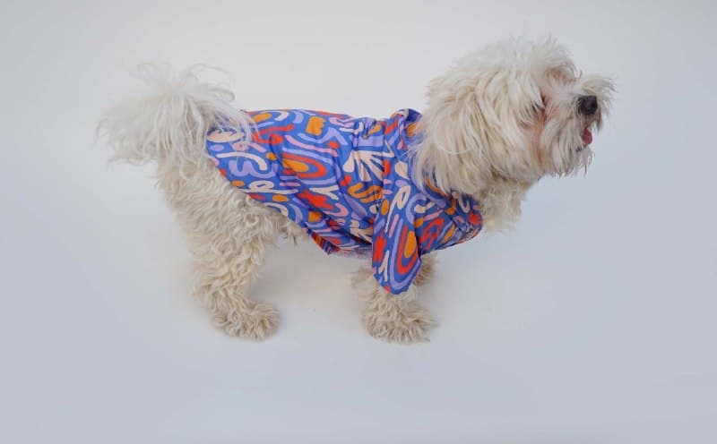 Desenli Köpek Ceketi