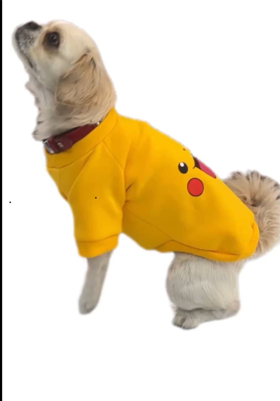 Sarı köpek montu